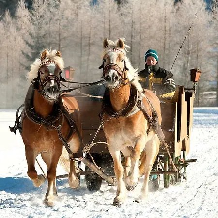 Haus Gstrein Serafin *